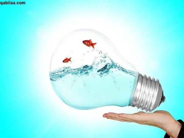أفكار مشاريع غريبة : مشاريع لها مستقبل مبهر 1 أفكار-مشاريع-غريبة2